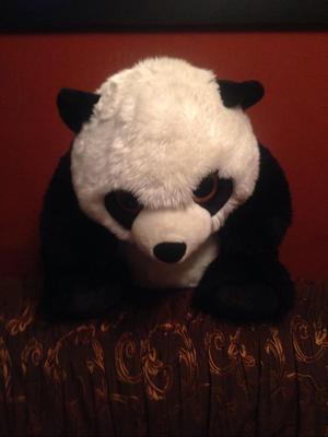 Oso Panda Jorobado de 60Cm