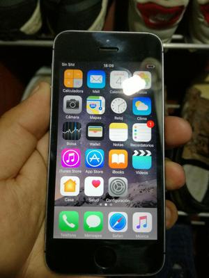 iPhone 5s