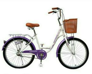 Bicicleta Campera