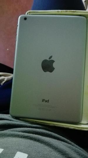 iPad Mini Plomo