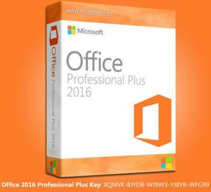 Microsoft Office  Plus Licencia