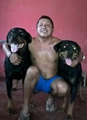 venta de perros rottweiler hembra