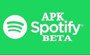 Spotify Beta