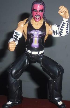 WWE Jeff Hardy Deluxe Aggression... JHP