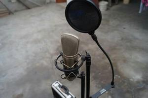 Microfono Condensador Bheringer B2 Pro