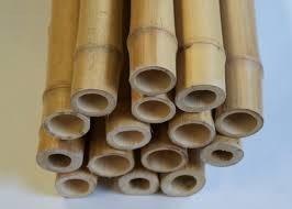 Cañas de bambú para decoración