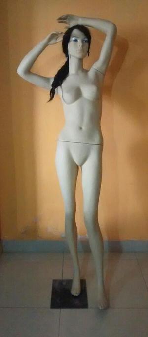 Maniquies Ocasion