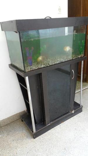 Vendo Acuario con Accesorios Y Goldfish