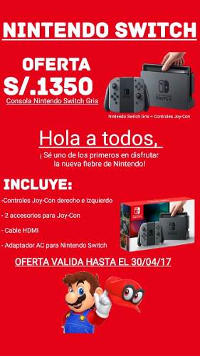 Nintendo Switch Gris