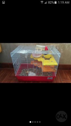 Hamsters