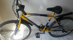 Bicicleta Bicisport