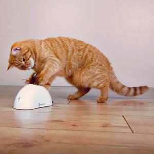 Juegos Ideal Para Su Mascota Gato Con Sensor De Movimiento