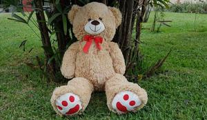 Oso de Peluche 80cm