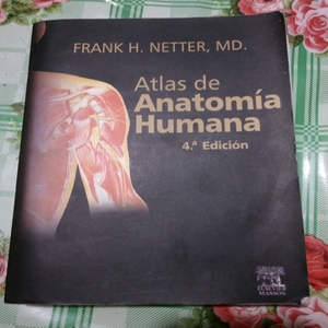 Atlas de anatomía humana / Frank H. Netter / 4ta edición