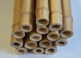 Cañas De Bambú Para Decorar