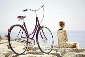 Bicicleta Vintage Estilo Clásico de Color Burgundy