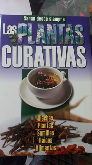 Plantas curativas