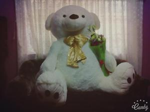 REMATO PELUCHE GIGANTE!