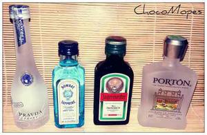 Botellas Miniatura - Sorprendel@ Con El Mejor Regalo De Todo