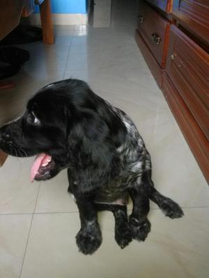 Coker
