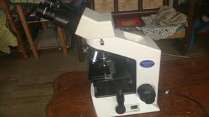 Microscopio Olympus Cx21