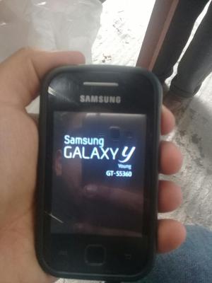 Galaxy Young