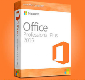Microsoft Office Professional Plus  excel word