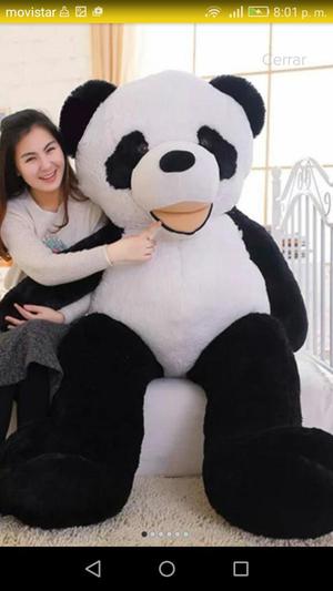 Oso Panda Gigante