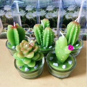 Velas Cactus
