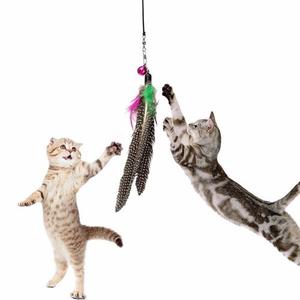 Juguete Divertido Para Gatos - Plumilla - Chorrillos