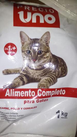 Kilos de Comida para Gato