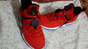 Nike Lebron 14