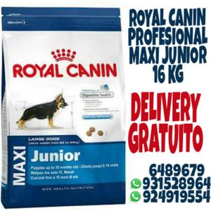 Royal Canin Maxi Junior Profesional 16kg