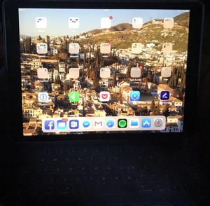 iPad Pro Gb (keyboard + silicone)