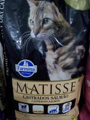 Matisse Castrados Salmon 7.5kg
