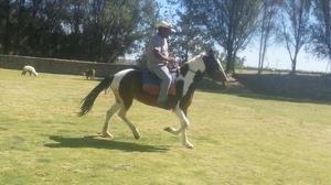 Pintos de Paso