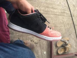 nike sb colot unico