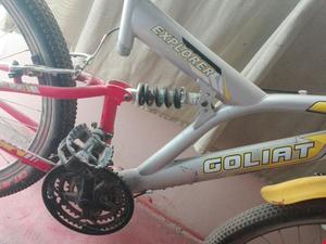 Bicicleta Goliat