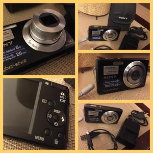 Sony Camara Digital Dscw520