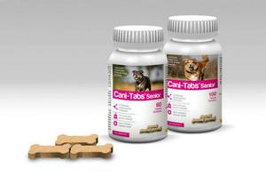 Vitaminas para Abuelitos Caninos