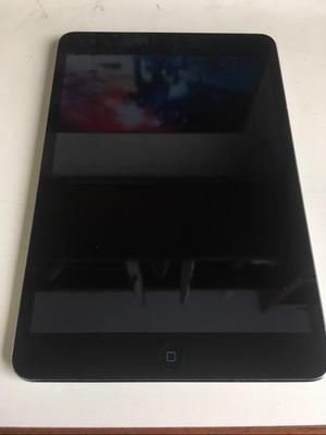 iPad Mini 2 16Gb Con Case