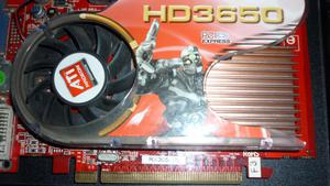 tarjeta de video AMD RAdeon HD  bits