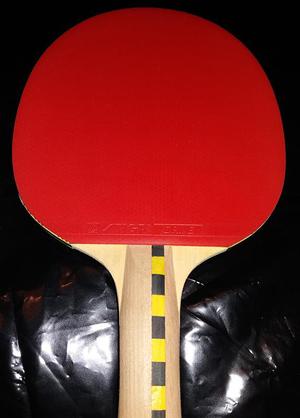 Raqueta de Ping Pong STIGA CALDERA 2 estrellas