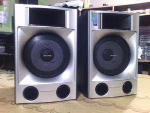 PARLANTES SONY SSGNX100