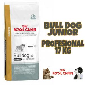 Bull Dog Junior Royal Canin 17kg Pro