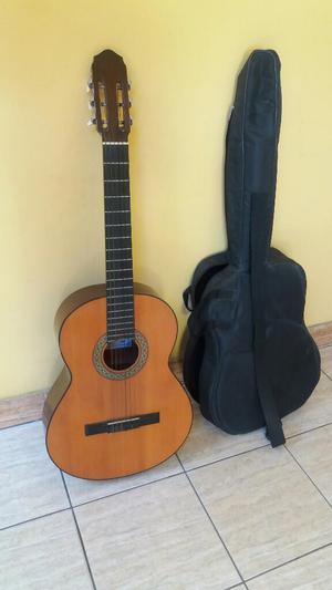 Guitarra con Forro Acustica