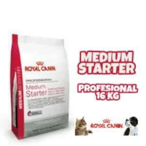 Medium Starter Royal Canin 16kg