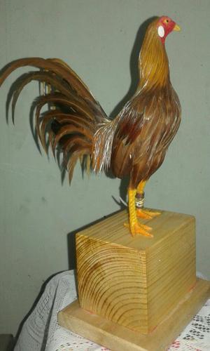 Se Vende Trofeos de Gallos