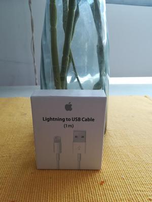 Cable Lightning Apple