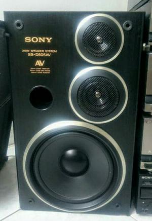 Parlantes Sony Ss D505 Av Amplificafor